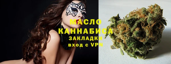прущие грибы Елизово