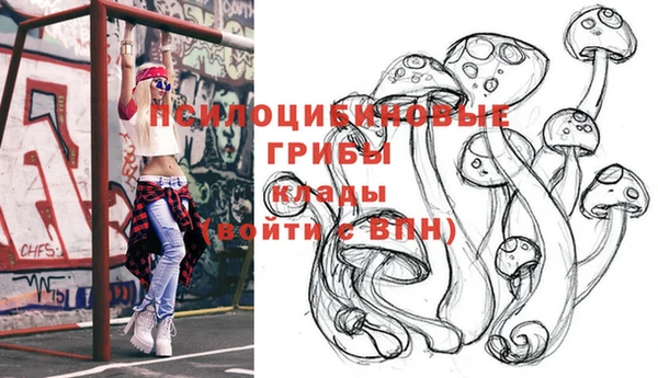 2c-b Ельня