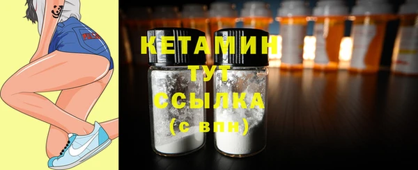 прущие грибы Елизово