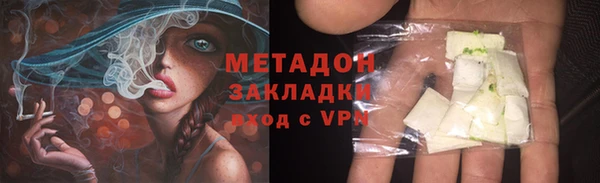 прущие грибы Елизово