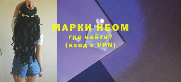 прущие грибы Елизово