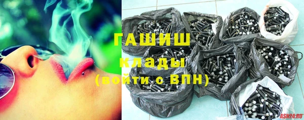 2c-b Ельня