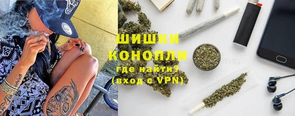2c-b Ельня