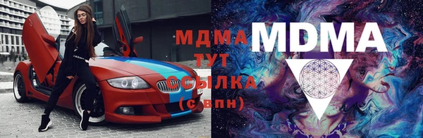 прущие грибы Елизово