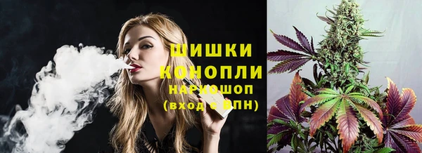 прущие грибы Елизово