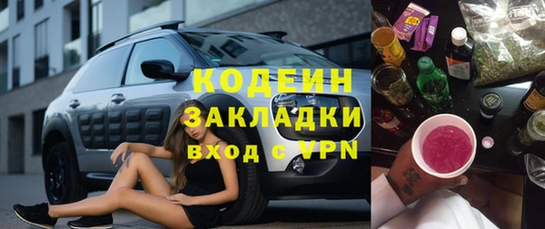 2c-b Ельня