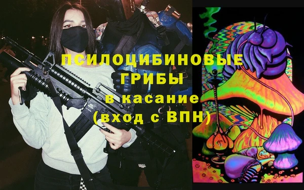 прущие грибы Елизово